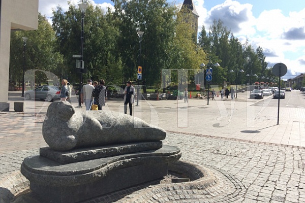 Наши туристы в Финляндии на юбилее города Лаппеенранта