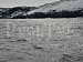 03-06.10.«Мурманск. Путешествие на «КРАЙ СВЕТА»!» Тур из аэропорта Череповца