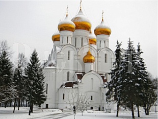 04.01.«Веселое путешествие на новогоднюю елку в дельфинарий Ярославля!» Автобусный тур.