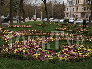 22-29.03. "Спешу, Кавказ, к твоим сединам, к твоим ущельям и долинам..." Тур с авиаперелетом из аэропорта Череповца.