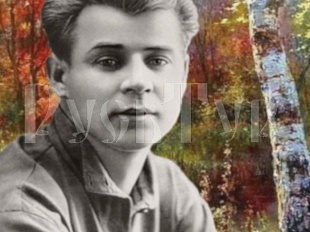 11-14.08."А у нас в Рязани- грибы с глазами!" Автобусный тур из Вологды