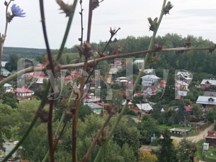 01.07. "О, Плес, жемчужина Поволжья!" Автобусный тур из Вологды.