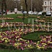 11-18.06. "Спешу, Кавказ, к твоим сединам, к твоим ущельям и долинам..." Тур с авиаперелетом из аэропорта Череповца.